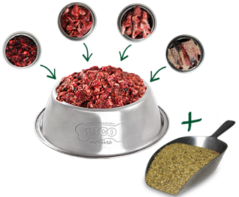 Was ist barfen? Lico Nature hat alle Antworten