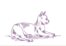 Lico Nature Barf für Katzen